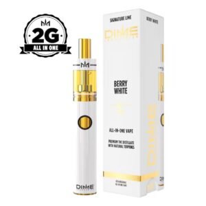 DIME-Berry White 2G All in One Device-indica
