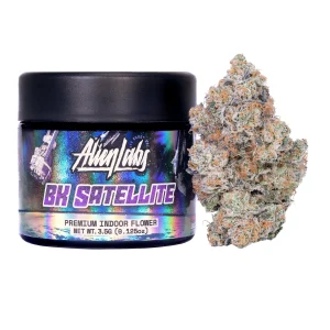 BK Satellite Alien Labs