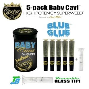 CAVIAR GOLD-Baby Cavi | Infused Pre-Roll | Blue Glue | 2.5g | 5pk