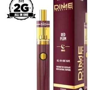 DIME-Red Plum 2G All in Once Device-INDICA